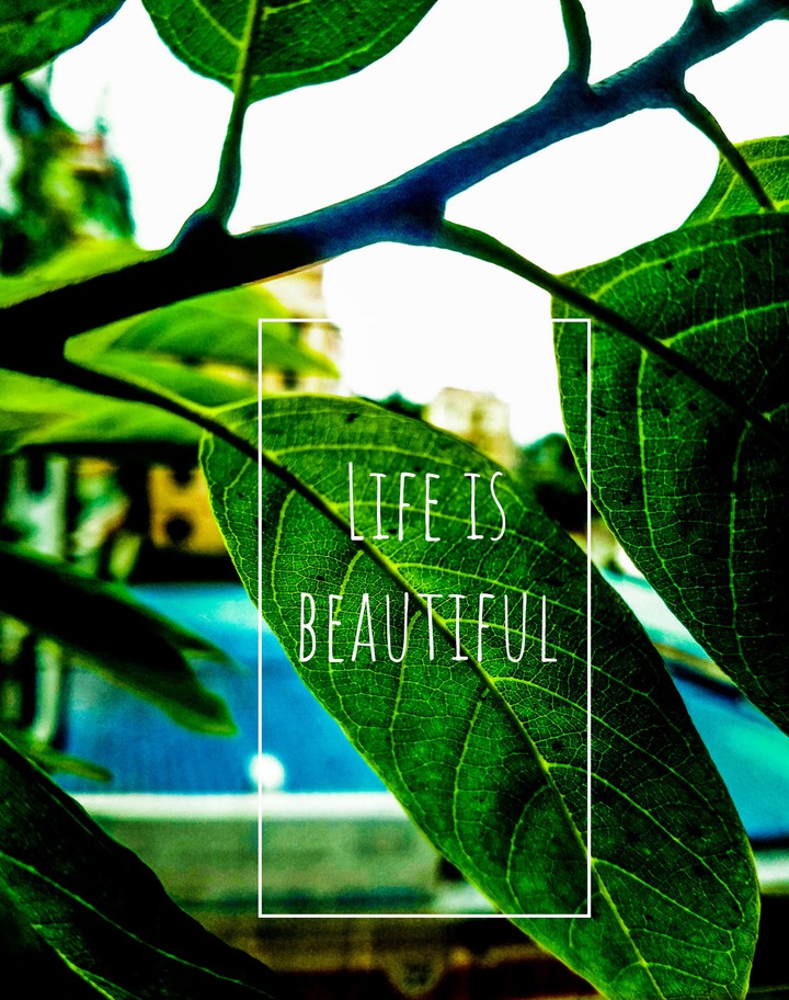 #Life_is_beautiful