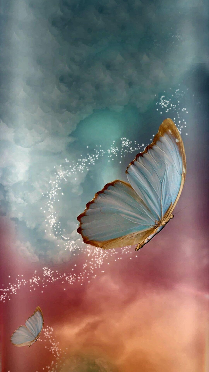 buttery fly