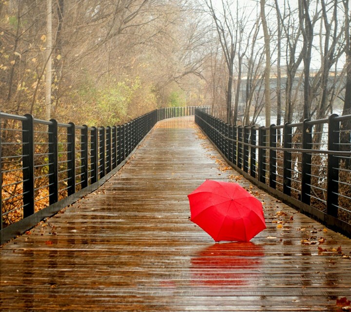 Rain