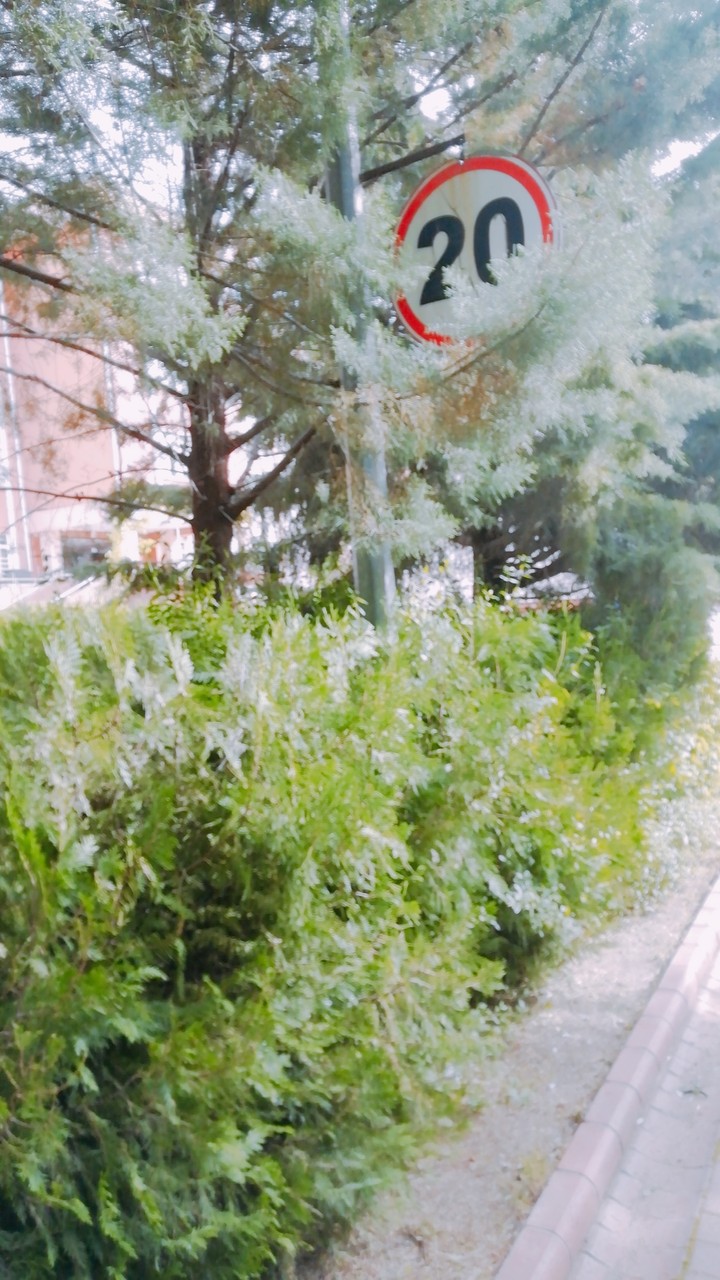 doğa