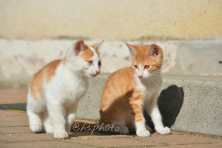 2 twins chillin' in the sun