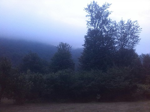 sidasht