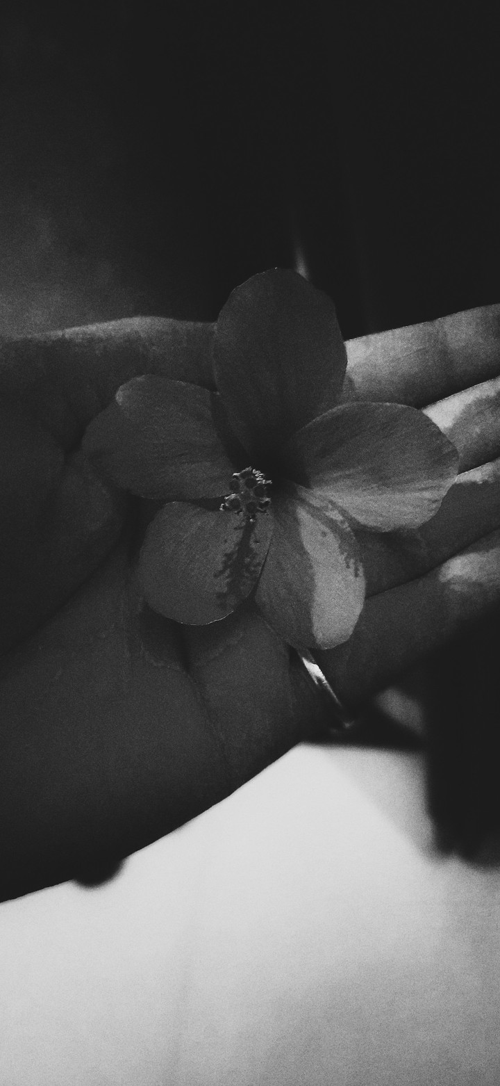 blackandwhite