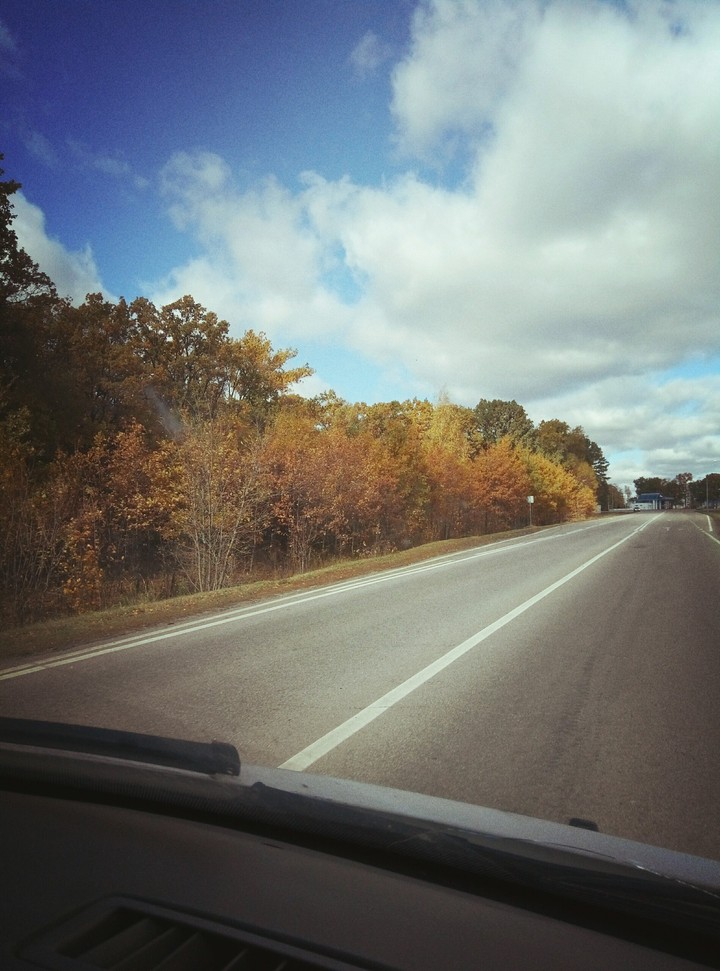 The fall in the road! The world is beautiful!