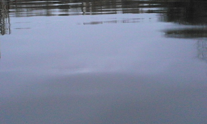water 
