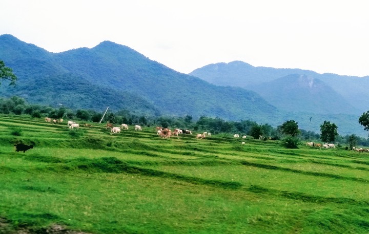 Nilgiris Odisha