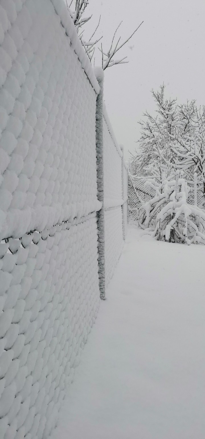 Snowy fence