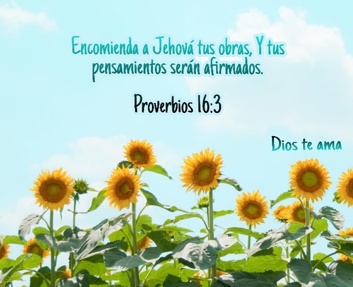 Dios te Ama