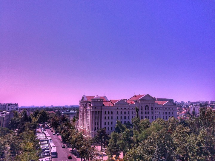 Purple, Why not?