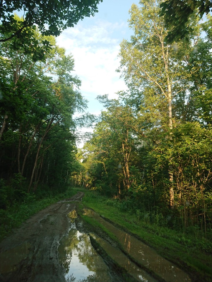 After rain...