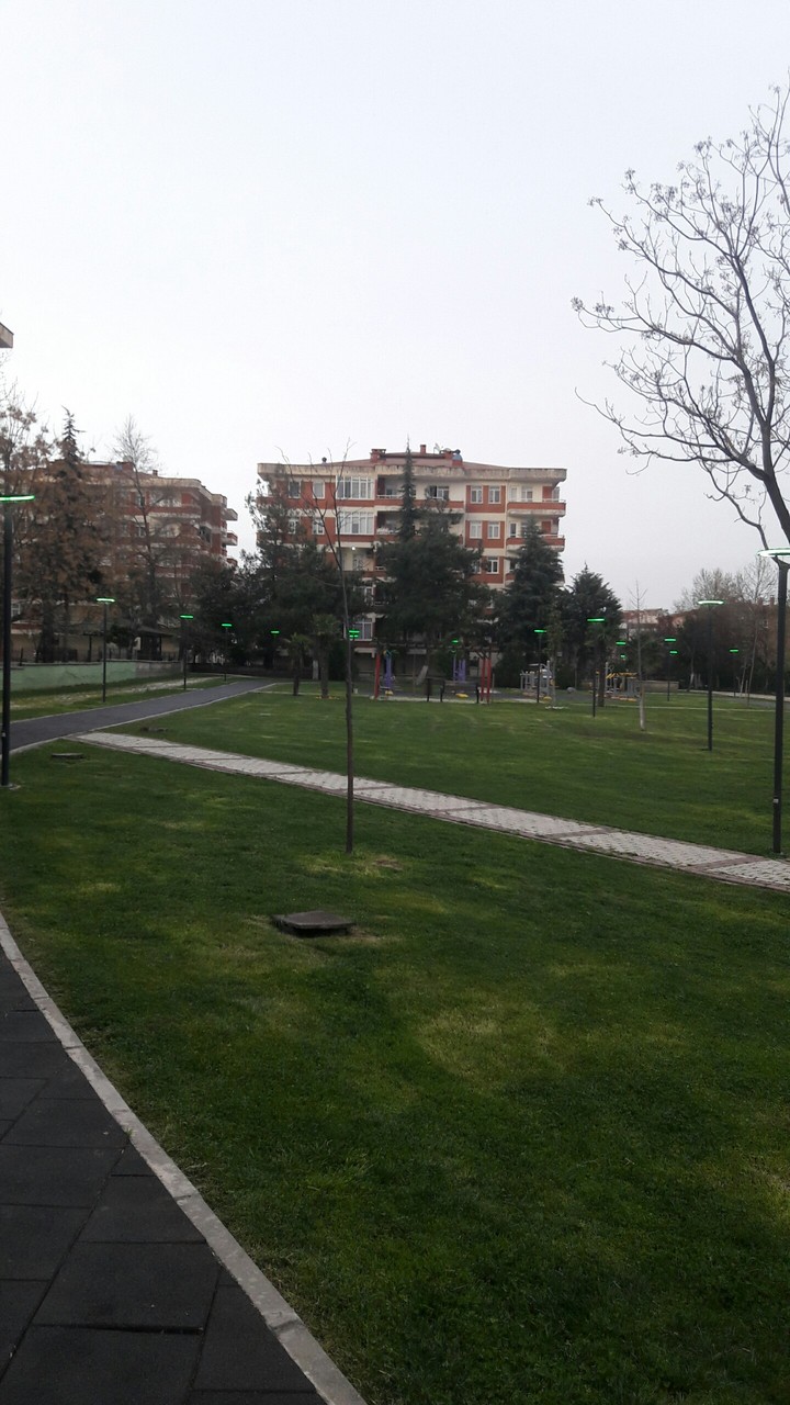 park