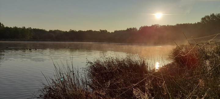 Morning Sunshine
