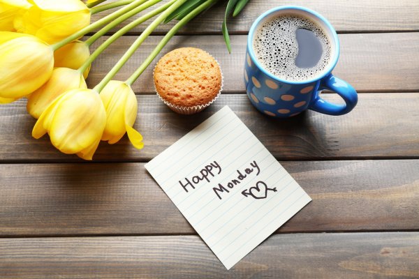 Happy Monday!