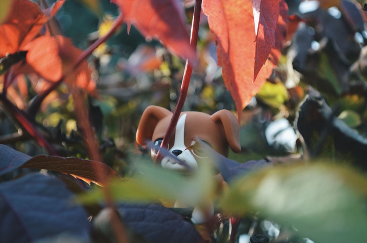 Littlest Pet Shop Autumn Nature