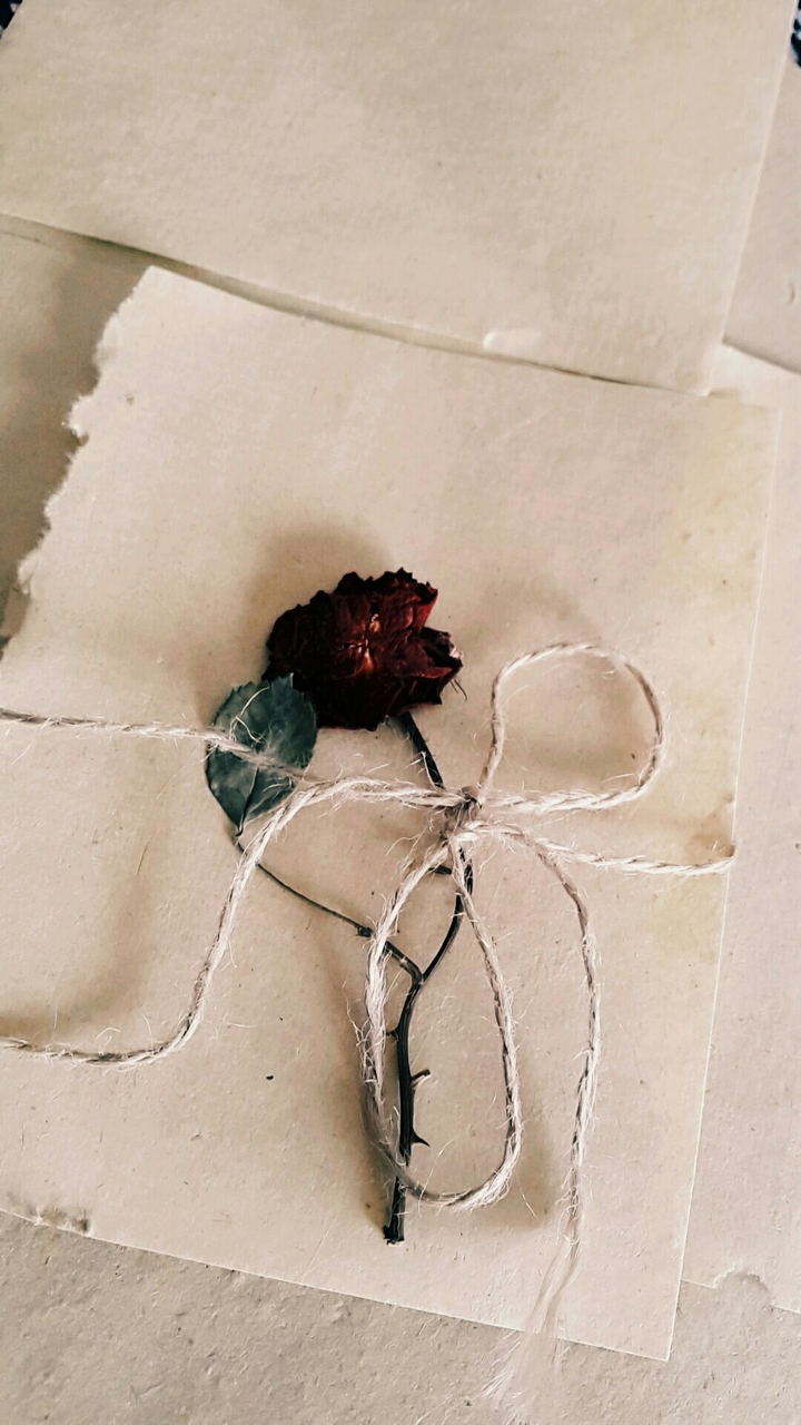 rose gül