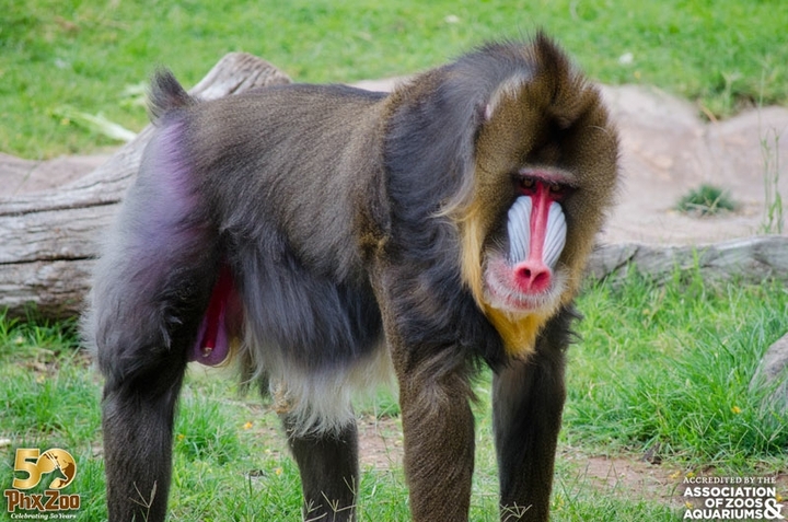at Columbus Zoo