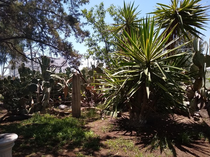 un parque
