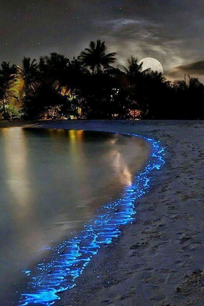 beauty of Maldives ❤