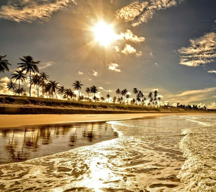 شروق