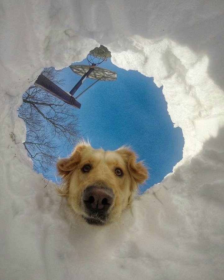 5635