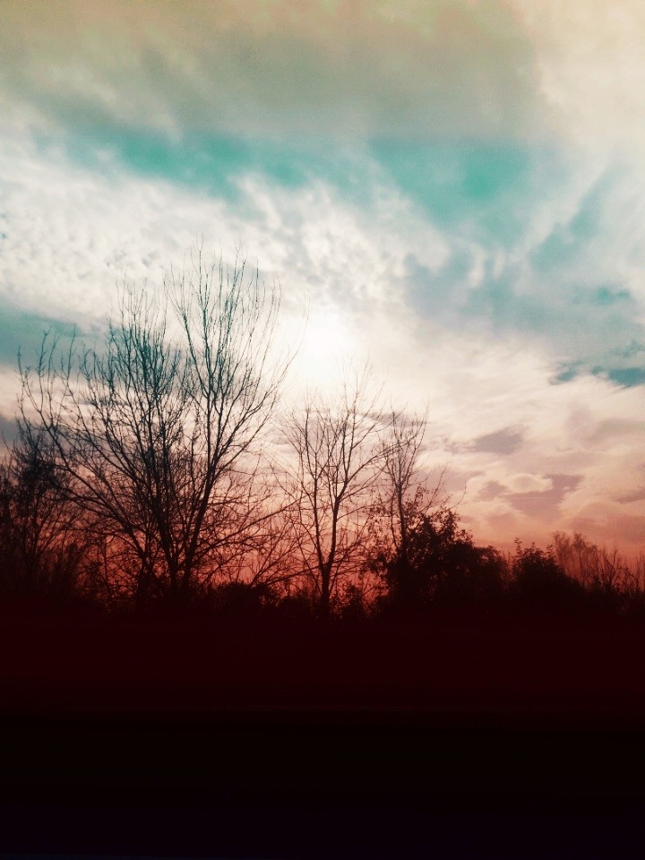 nature