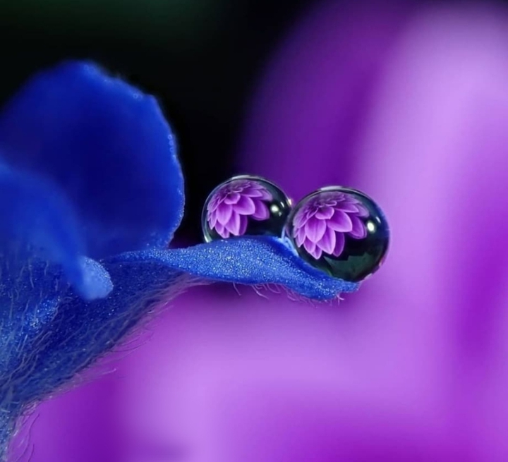 drops...