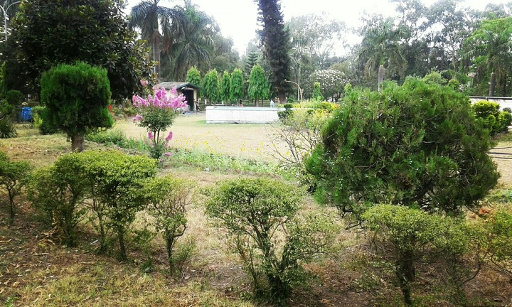 MAHATMA GANDHI PARK , DEHRADUN, UTTARAKHAND, INDIA