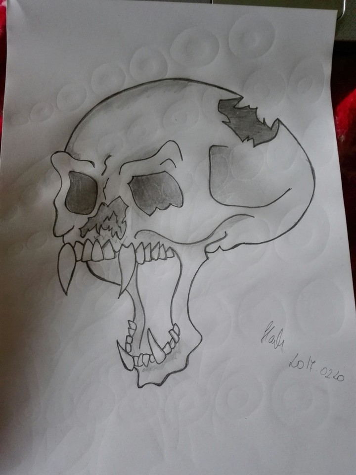 skull