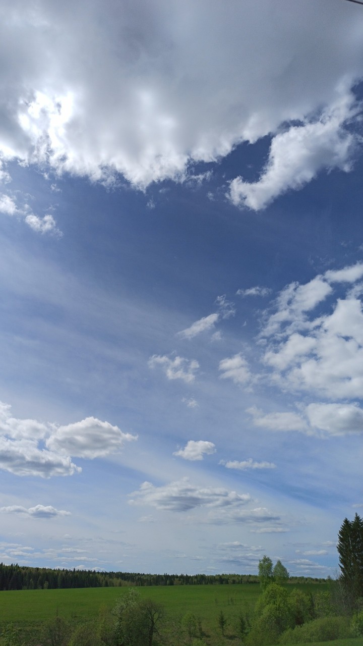 field and sky
