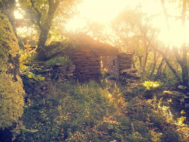 ruine