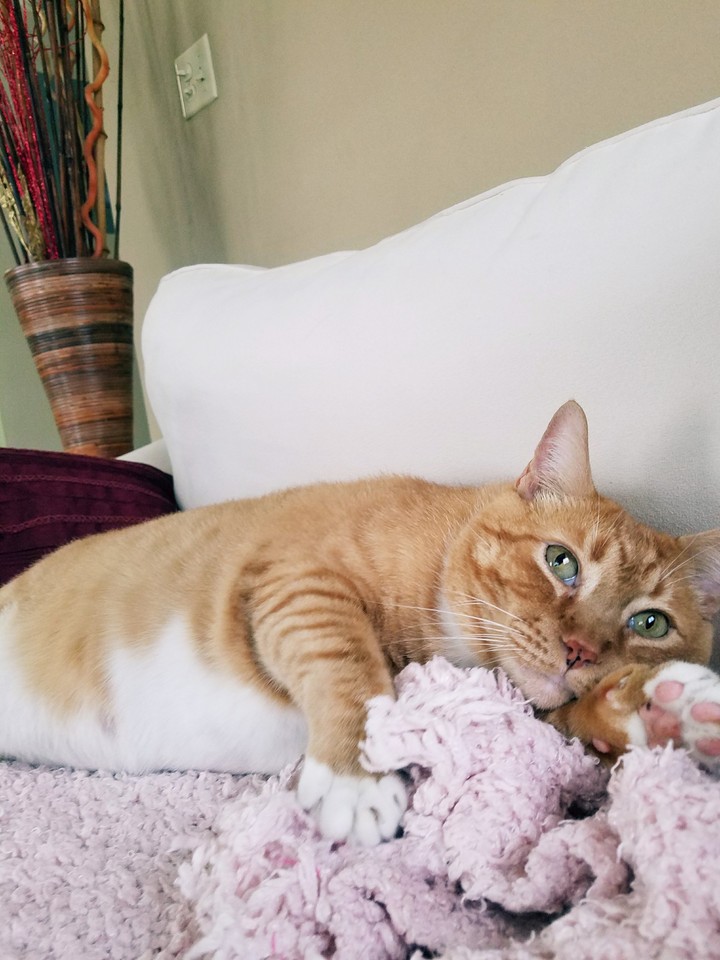 resting