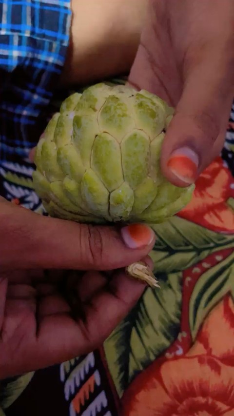 wallpaper sugarapple, vegetable