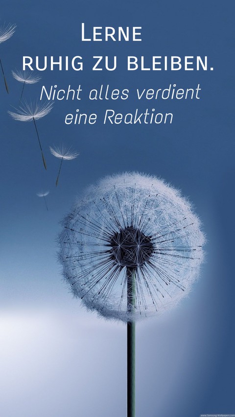 dandelion text added