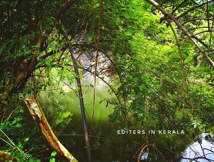 Kerala wibes