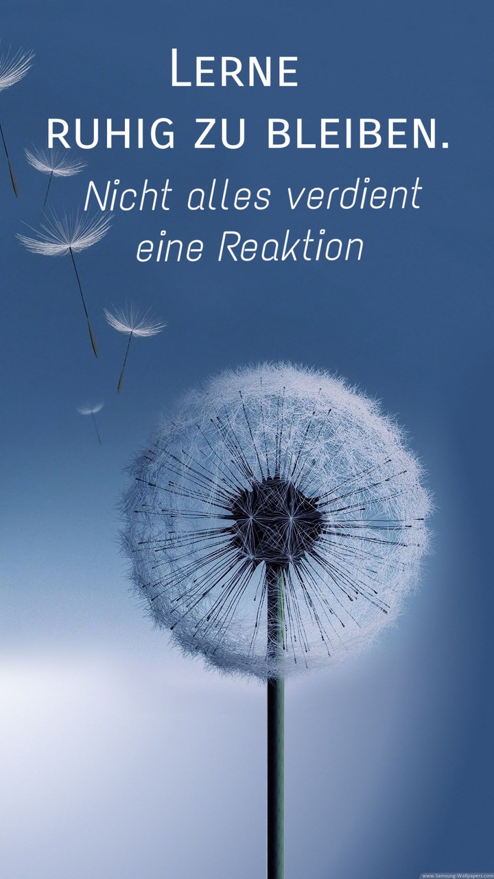 dandelion text added