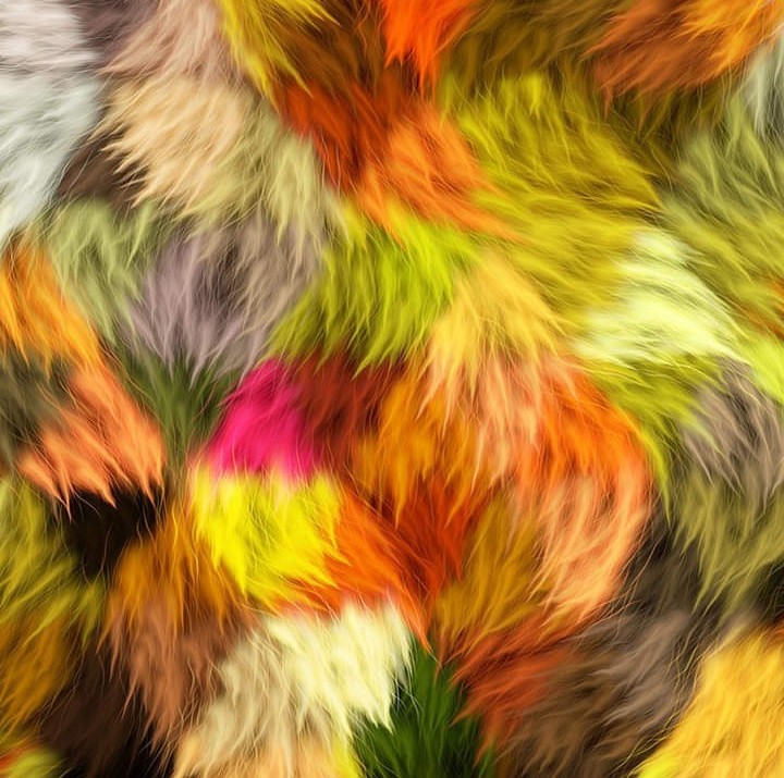 Art