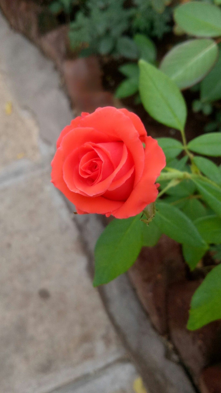 ♥️