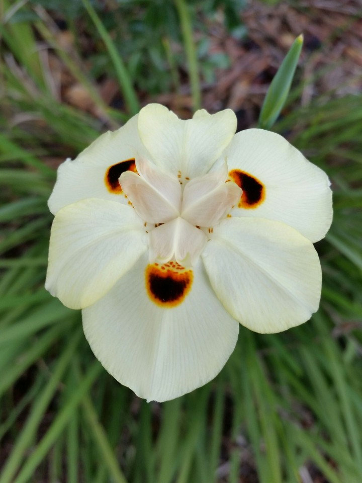 no idea what it's called