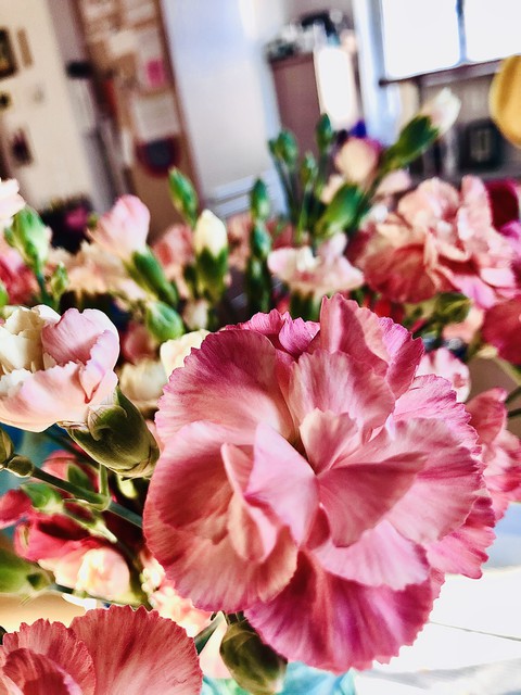 Rosa Blumen