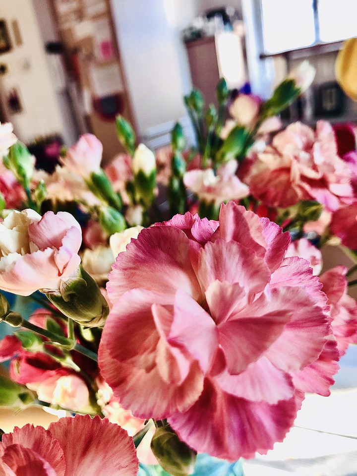 Rosa Blumen