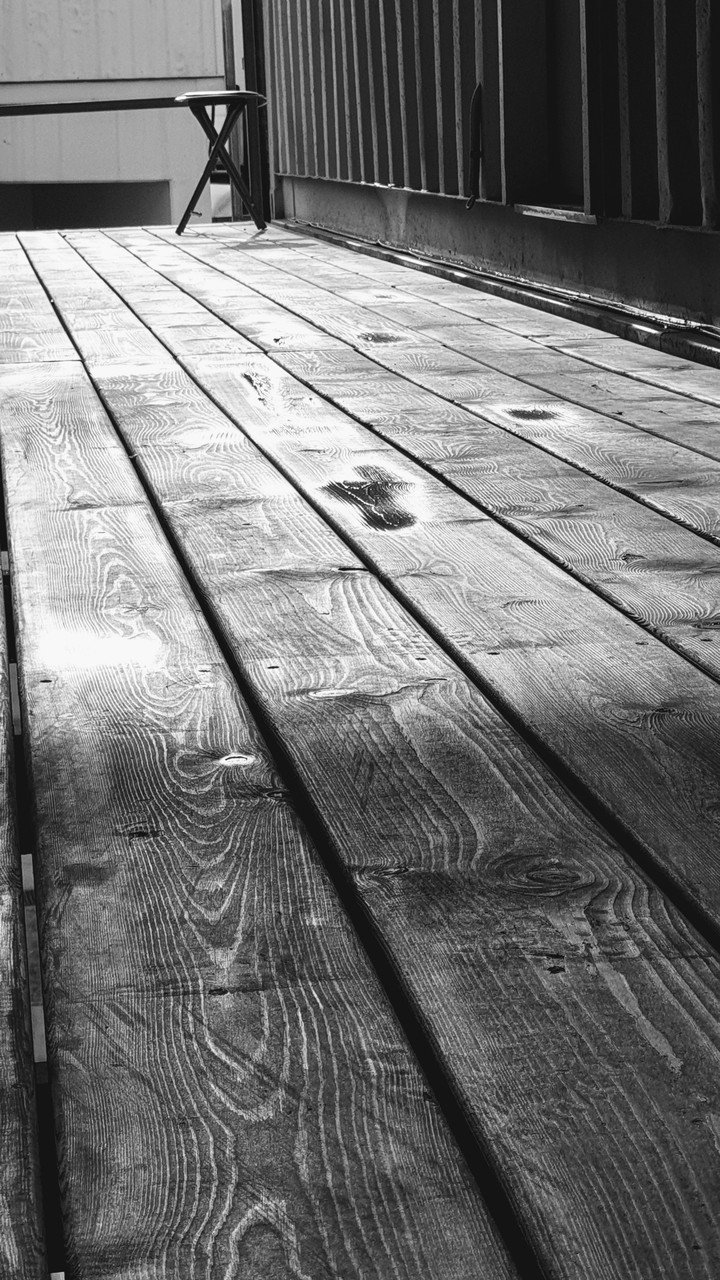 Holocaust day
