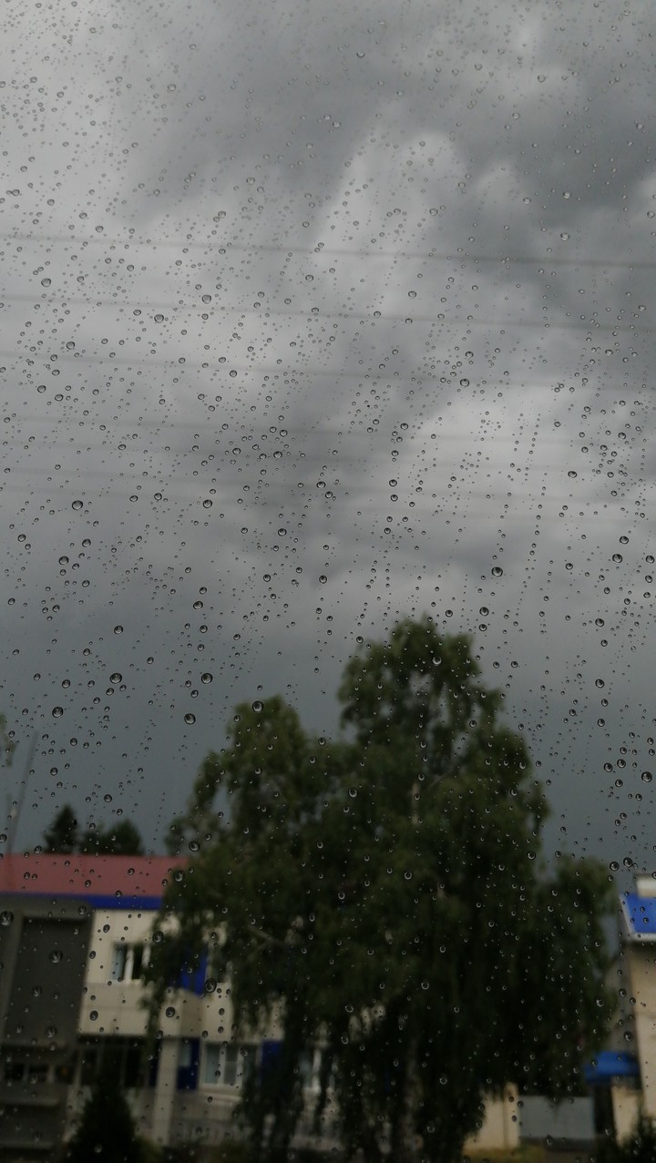 Rain