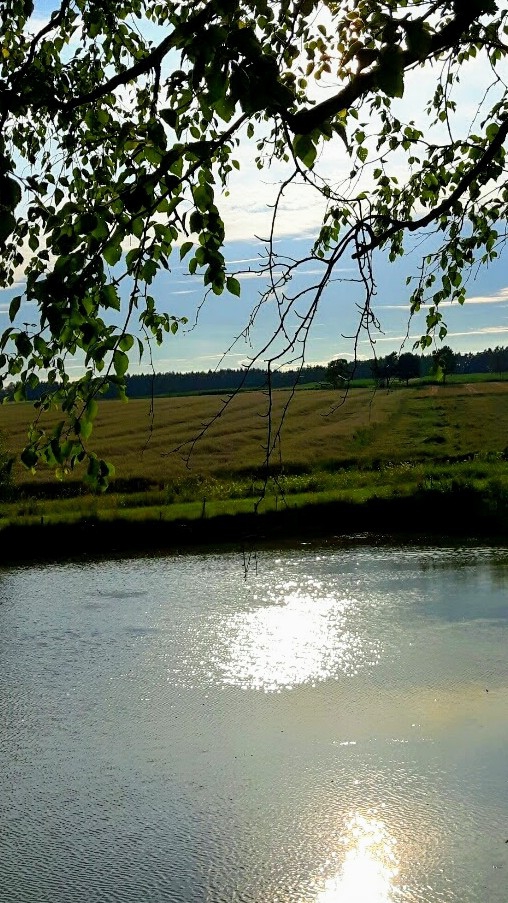 Am Abend an einem Weiher