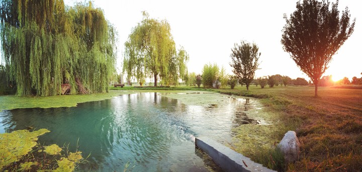 Nature