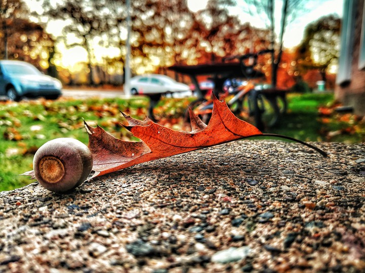 fallen