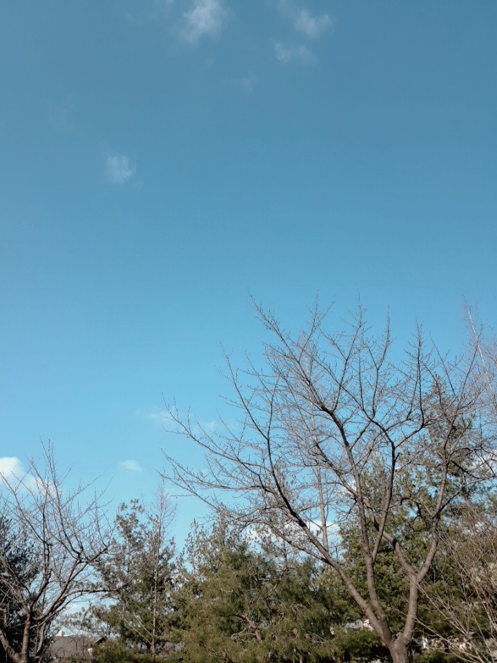 ¹