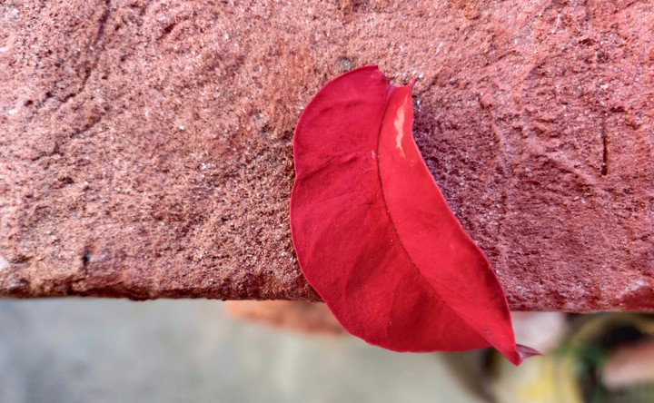 petal