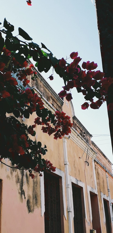 Old Building