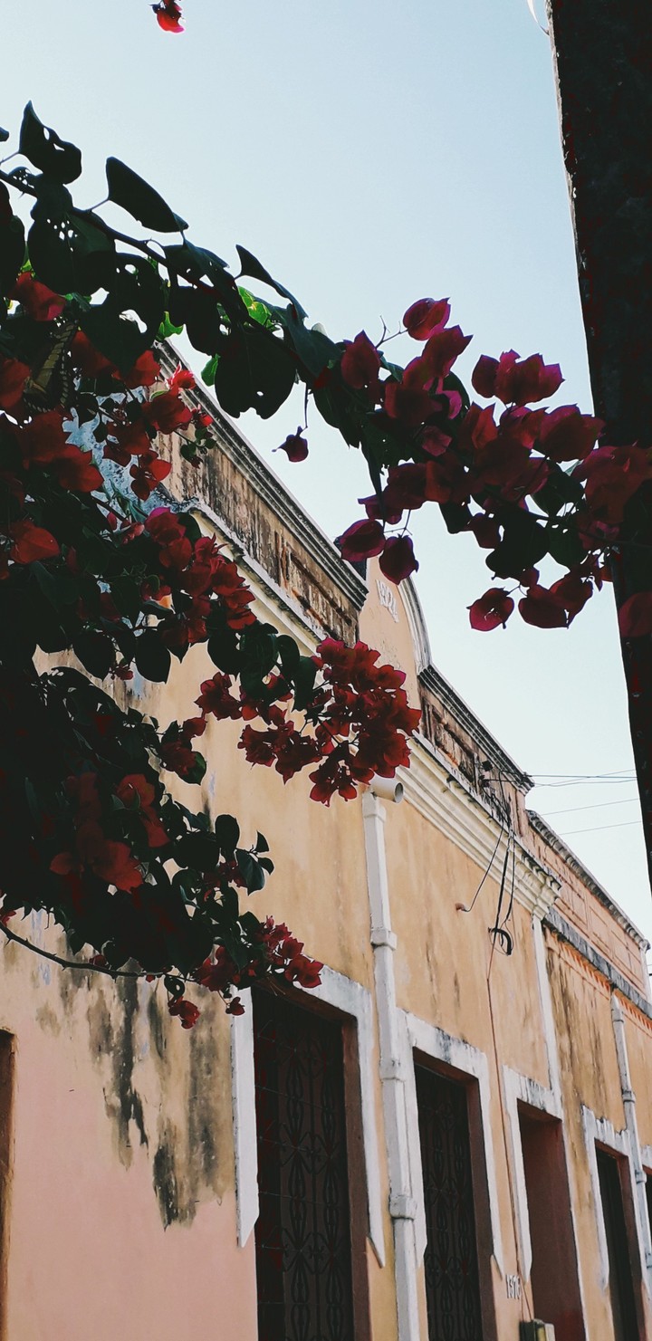 Old Building