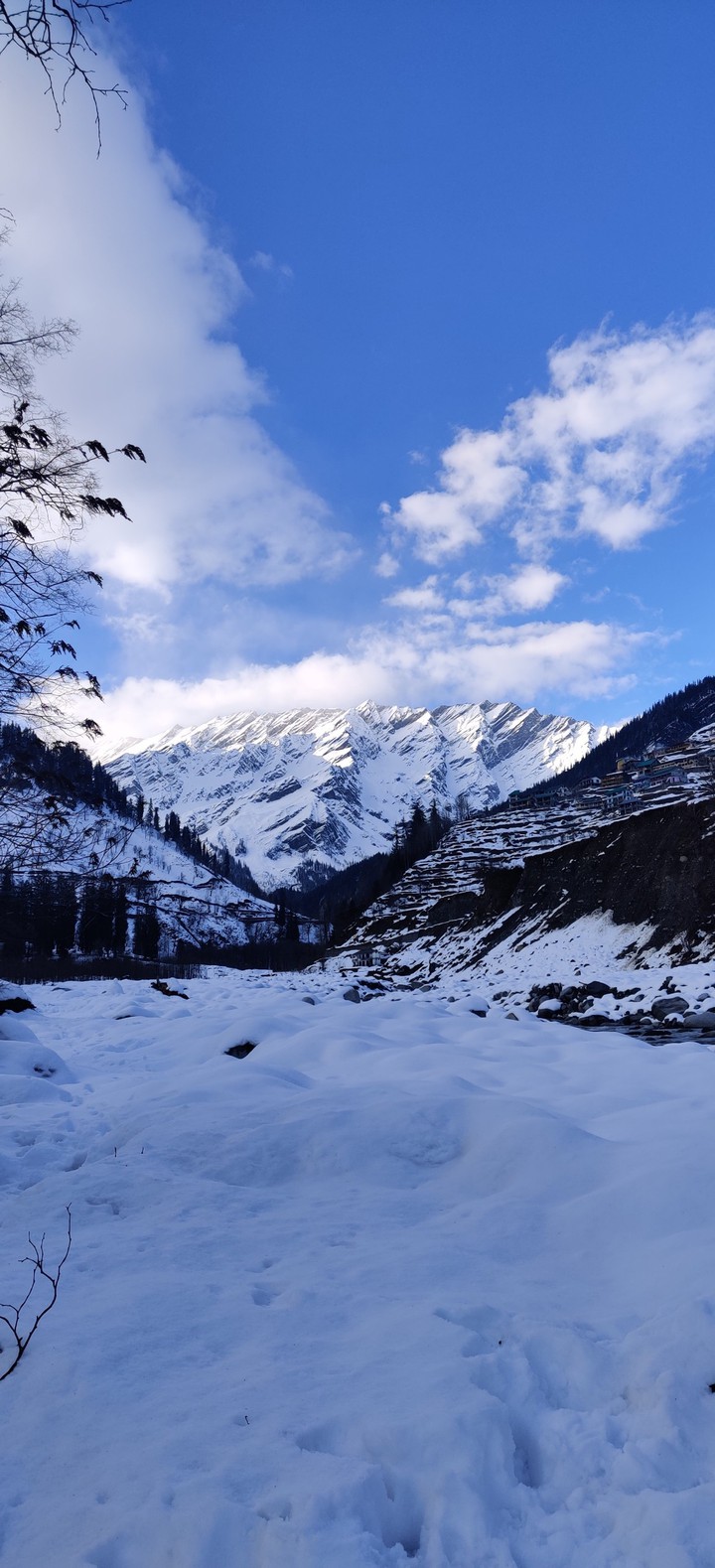 Serene Snowscape